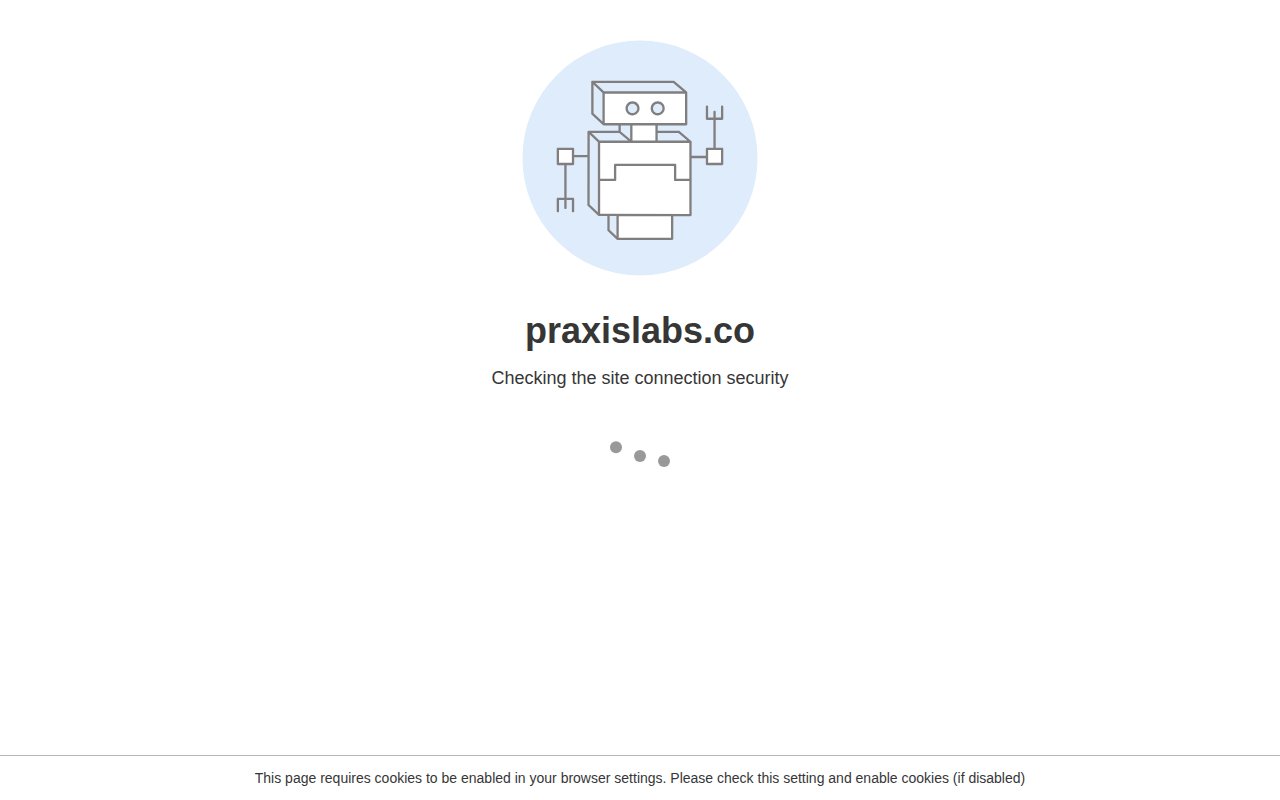 Praxis Labs